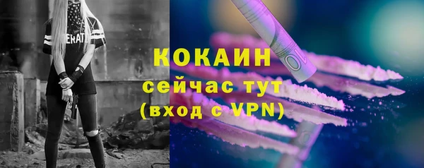 дурь Коряжма